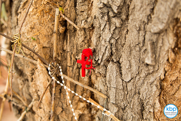 Red Cross on a Tree