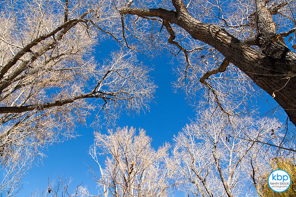 Fall Sky In Taos