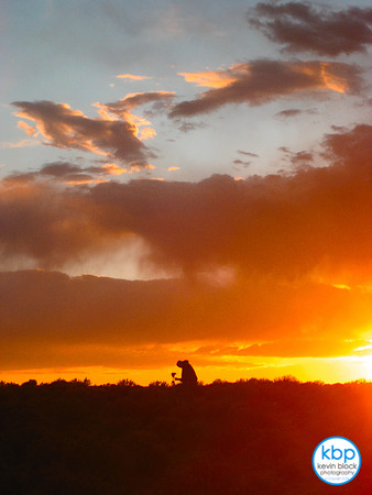 At Work In New Mexico