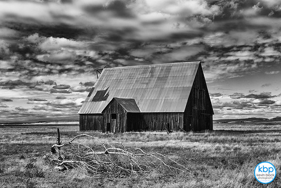 Old Barn in Adin, CA